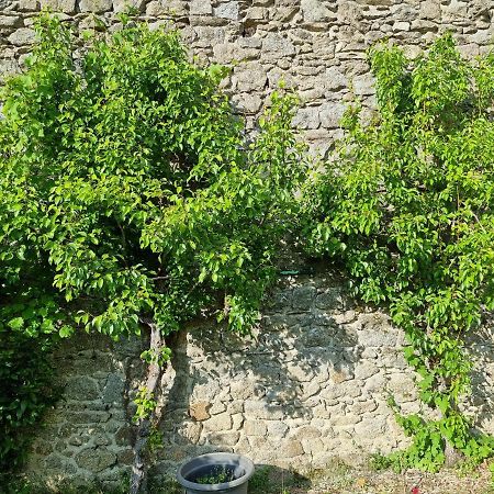 L'Atrium Panzió Piégut-Pluviers Kültér fotó